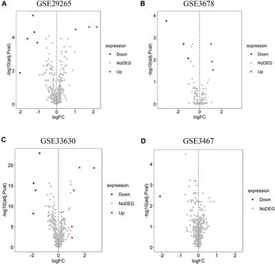 Identification of Hub lncRNAs Along With lncRNA-miRNA-mRNA Network for Effective Diagnosis and Prognosis of Papillary Thyroid Cancer